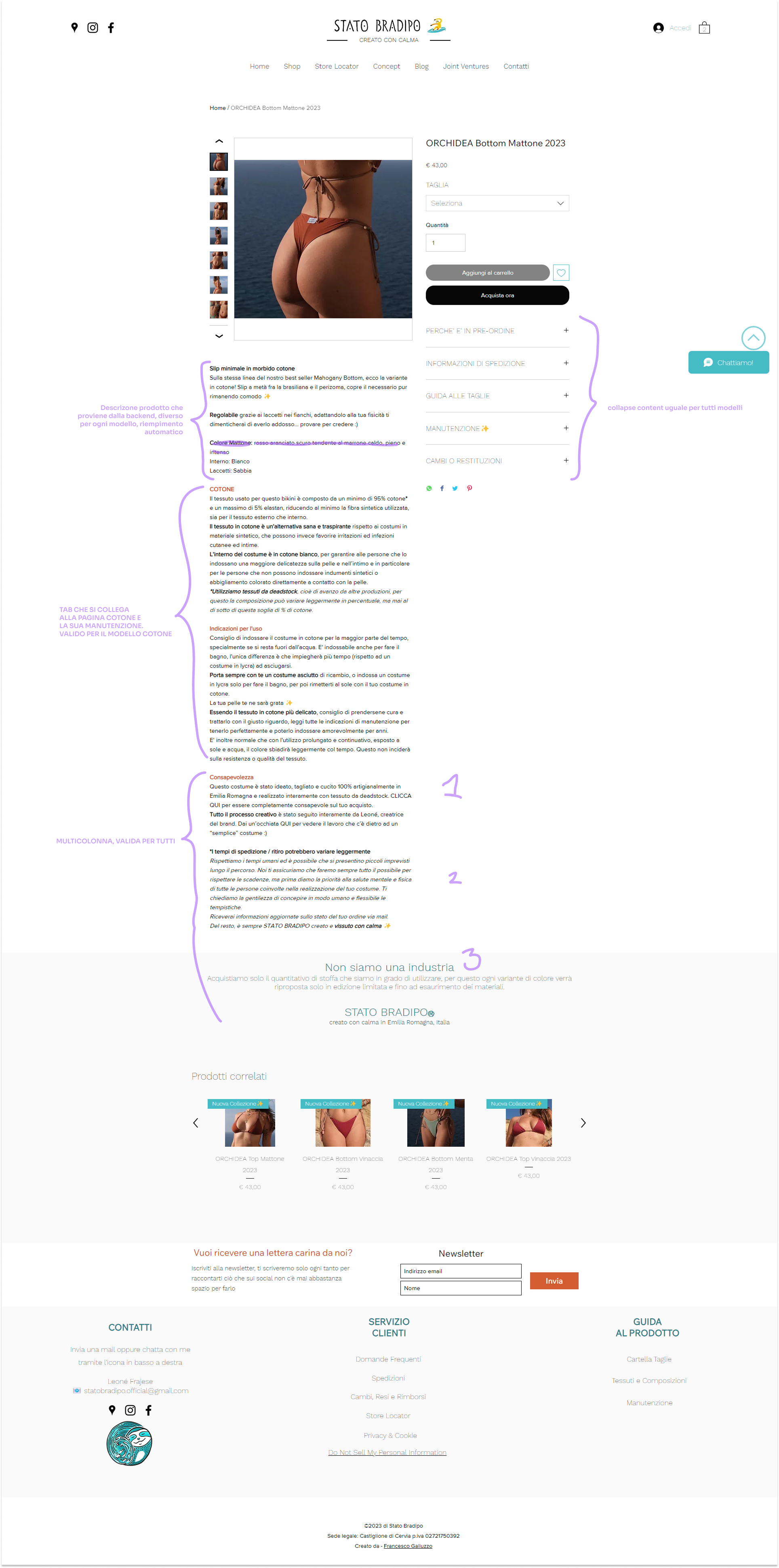 Original Wix product page - before redesign
